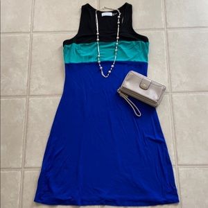 Calvin Klein Colorblock Dress